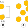 【理科・生物・遺伝の規則性と遺伝子②】「遺伝の規則性」【授業解説】