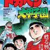 【コミック】ムック「水島新司の世界　ドカベン＆大甲子園」おっさん世代にドストライクの内容です【一応シリーズ全網羅】