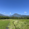 2024/06/14 金曜日　夏の天気