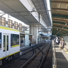 勝俣部長の「ため息」２８４０回・・・・人によりけりの現物