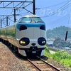 無人駅の見老津駅でパンダくろしお号をパチリ！