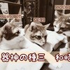 「はたけ」をググると「粃糠疹」がトップヒットして驚いた話