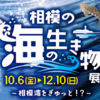 相模川ふれあい科学館 「相模湾の生き物を学ぼう」 12月10日まで企画展 開催！(2023/11/10）