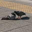 Asai_Jyun’s blog