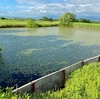 浦臼の皿池２つ（仮称）（北海道浦臼）