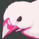 あやちゃんねる(文鳥)