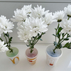 白い花に色をつける自由研究