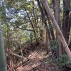 米満横穴墓群Ⅲ-6支群  長南町米満