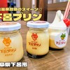 下呂プリン（岐阜県下呂市）｜温泉気分を味わいながら食す映えプリン