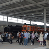 梅小路公園（鉄道博物館、桜、パンジーなど）