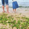 海は広いなおーきいな☺