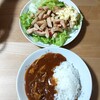 晩ご飯ログ -10/24　-ハヤシライス・サラダ-