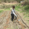 4月12日　奥田畔塗り、木下田荒起こし