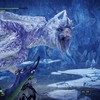 MONSTER HUNTER WORLD ICEBORNE:PS4版：抜刀斬りが多いわたしは抜刀斬り特化にしてみようと思いました『イヴェルカーナ』素材を求めて