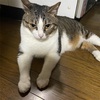 シルバーウィークなんて、あっというま。