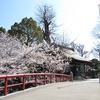 松戸神社に参拝してきました