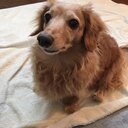 たっくのブログ