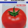 ホーム桃太郎とは？｜家庭菜園で育てやすい定番の大玉トマト【タキイ種苗】