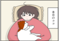 どっちなんだい？