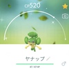 【ポケGO】色違いのヤナップ＆ヨーテリーをゲットだぜ！