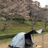 笠置キャンプ場　ソロキャンプ（2025年4月3日（木）から4日（金）