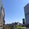 晴れの日のお散歩にオススメ！！新宿駅のサザンテラスの広場がめちゃ良いかんじです♪♪