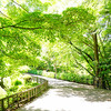 久しぶりの東山植物園