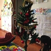 12月8日にクリスマスツリーを飾りました。