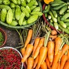 【オーガニックも簡単】家庭菜園はベランダでOK！簡単に栽培できるのはどの野菜？