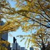 勝俣部長の「ため息」１０８４････毎年　この　季節になると