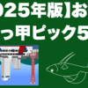 【2025年版】お勧めべっ甲ピック5選｜エレキ・ギター