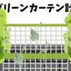 実家の庭に広がる朝顔ネットワーク｜放置から＂楽しみ＂へ変わった話