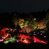 夜の六甲高山植物園