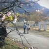 秋色と寒桜の羊山