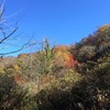 晩秋の平家平 2016年