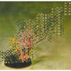 cut flowers