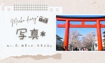 今年のサクラいろいろ * 鶴岡八幡宮の段葛