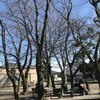 かもめ公園