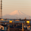 今日の富士山