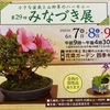 第29回 「みなづき展」(神奈川県平塚市)