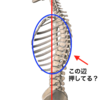 いいバランスなのにね！