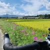 中山口駅から大山寺　2020/9/19