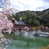 【写真】スナップショット（2018/4/8)勝尾寺その4