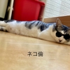 某草抜き、某採点、「ピーターは…」など