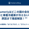 : Sumeriyはどこの国の会社？評判と車載冷蔵庫が冷えない時の原因まで徹底解説！**