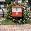川越駅前・あじさいポスト　２０２４年もきれいに色付く