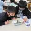 ５年理科「上皿天秤」、特別支援学級「６年生を送る会」