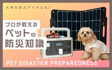 ペットの防災対策！日頃の備えと役立つアイテム4選