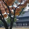 【横浜 総持寺】鶴見のランドマーク的な存在のお寺へ紅葉を見に行こう