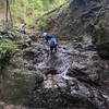 週末の山散歩